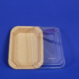 Octagonal kraft paper square box (G-11)